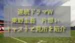 中谷美紀さん主演「連続ドラマW　東野圭吾　片想い」キャストやあらすじ・相関図