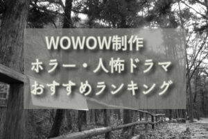 WOWOW制作 怖いドラマ ランキング【ホラー・人怖】