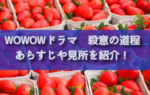 バカリズムさん脚本「殺意の道程」キャストやおすすめポイントをネタバレ無しで紹介！【WOWOWオリジナルドラマ】